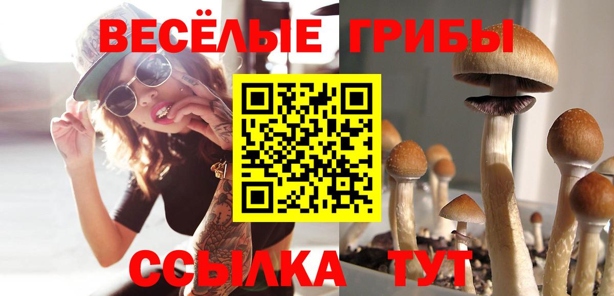 Советский  Псилоцибиновые грибы MAGIC MUSHROOMS  Вход с VPN 